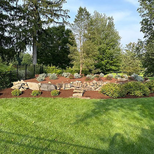 Placeholder Project Title 1